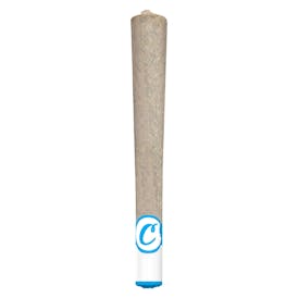 COOKIES TQ Sunrise Ceramic Tip Pre-Roll 1x