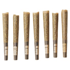 BOLD Root Beer Float Pre-Roll 7x