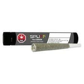 1Spliff Cannon Pre-Roll 1x