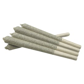 PLUSH Hawaiian Haze Premium Joints 5x