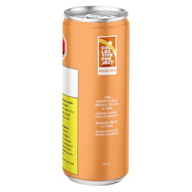 COLLECTIVE PROJECT 2:1 CBG Happy Place (Mango Peach & Yuzu) 355ml