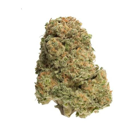 Homestead: BANDWAGON INDICA (7g)