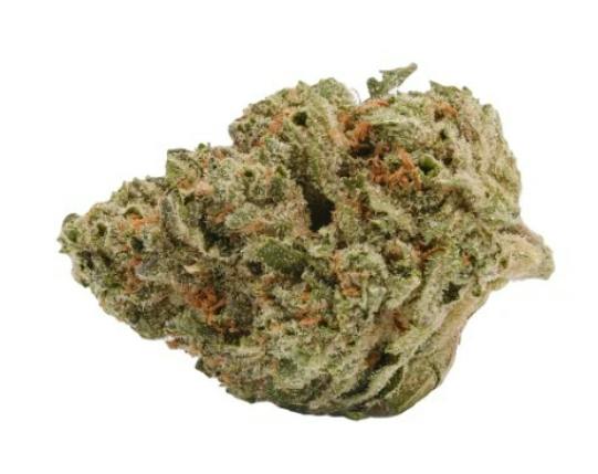 Back Forty: LIQUID IMAGINATION (7g)
