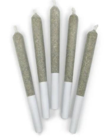 1964: ORGANIC COMATOSE PRE-ROLLS (5x 0.5g)