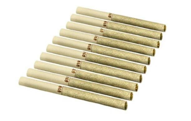 Back Forty: BACKPACKERS GOLDEN TANGIE PRE-ROLLS (10x 0.75g)