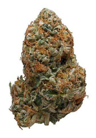 FORT 20 FARMS: BC CHEMO OG SMALLS (14g)