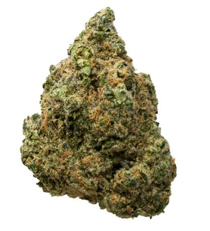 Bonkers: DREAM CATCHER (28g)