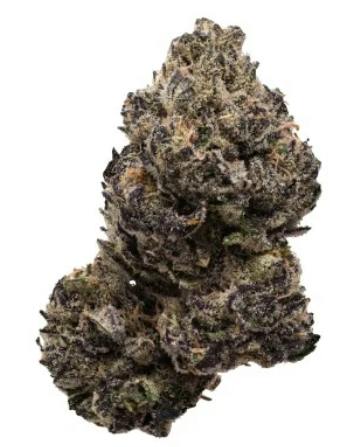 Bonkers: PURPLE LEMONADE (14g)