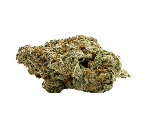 Qwest: WHITE WALKER FLOWER (7g)