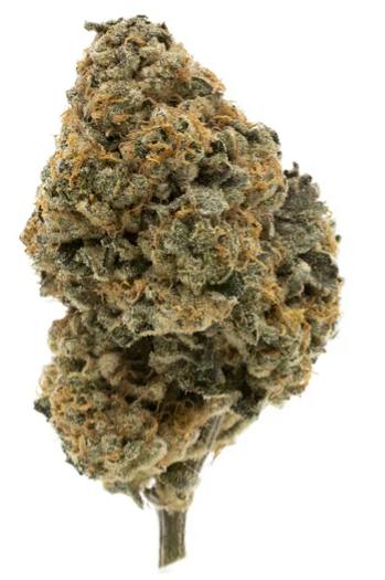 FIGR: KANDY CAKE (28g)