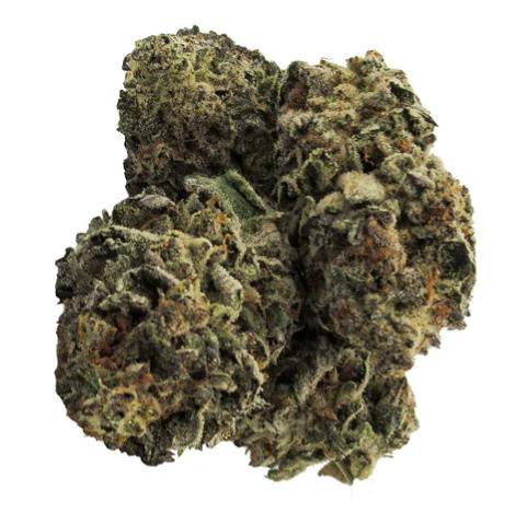 Green Mountain Health Alliance Ltd.: CHERRY PUNCH DRIED FLOWER (28g)