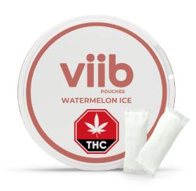 Viib Pouches: WATERMELON ICE (LIP POUCHES) (10pc)