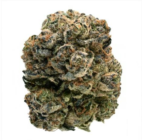 FORT 20 FARMS: OG KUSH SMALLS (28g)