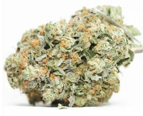 FORT 20 FARMS: EL CHAPO SMALLS (7g)