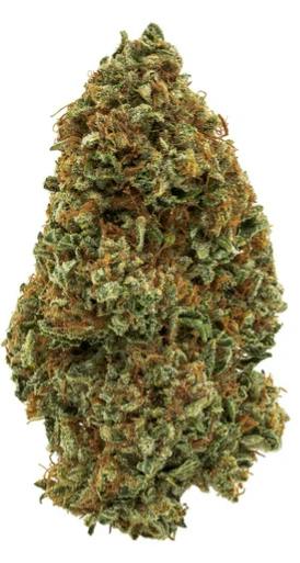 1964: SOUR CONGO (7g)