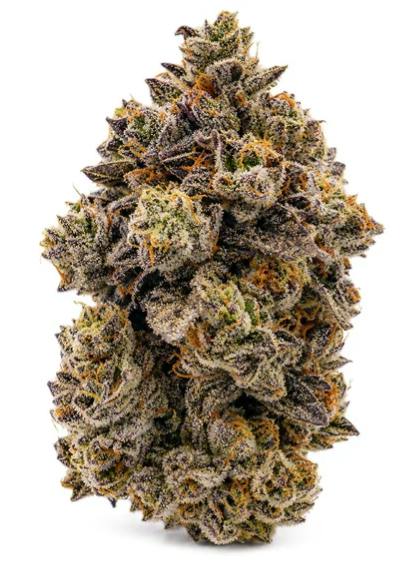 GAS PACK: PEANUT BUTTER ROCKSTAR LTO (28g)
