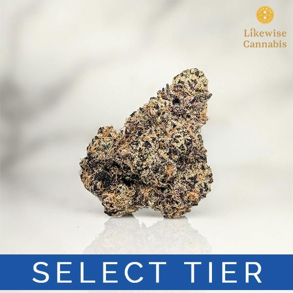 GARLIC GOLD RUSH 3.5G - GREEN DYNASTY