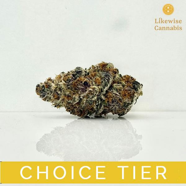 LIPSTICK TEETH 7G - ALL GOOD