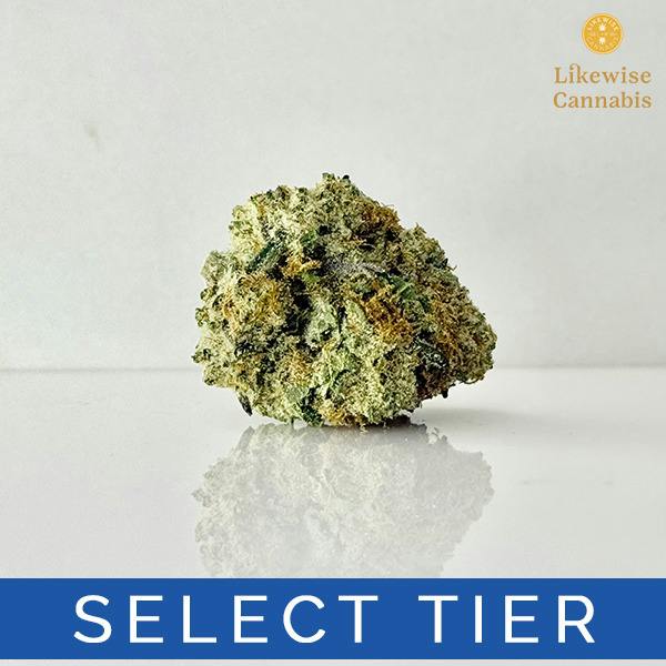 PERMANENT MARKER #10 3.5G (SE) - HIGH PRESSURE COMPANY