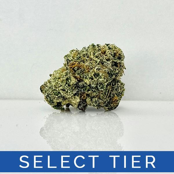 SUNSHINE LIME 3.5G - JIVE