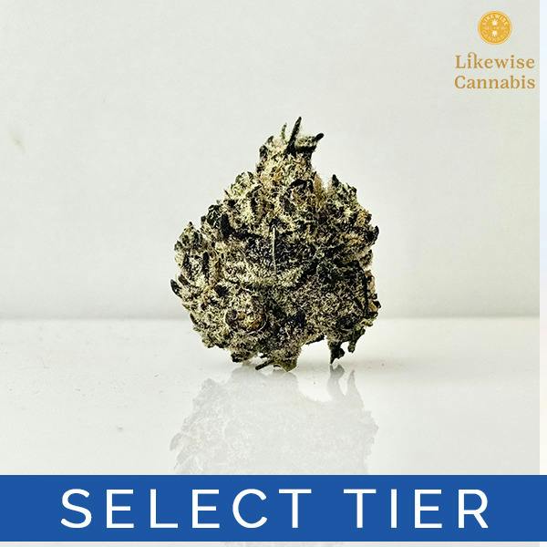 BLUE BERRY SUGAR 3.5G - GREEN DYNASTY