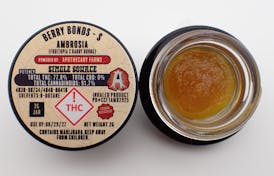 Berry Bonds Ambrosia - S 2G FH