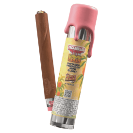 Peach Bellini (H) - 2.5g Premium Infused Blunt - Packwoods