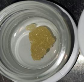 Mai Tai (H) - 1g Live Sugar - Lastrip
