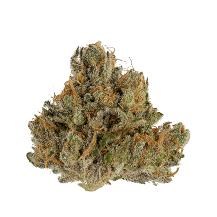 (MED) Crunchberries #3 Buds - Dutch Touch Genetics