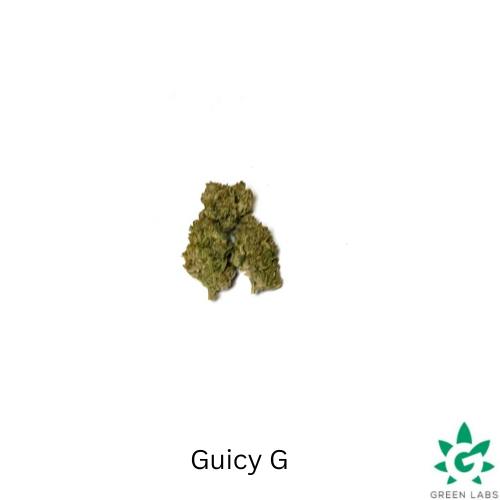 (REC) Guicy G Buds - Dutch Touch Genetics