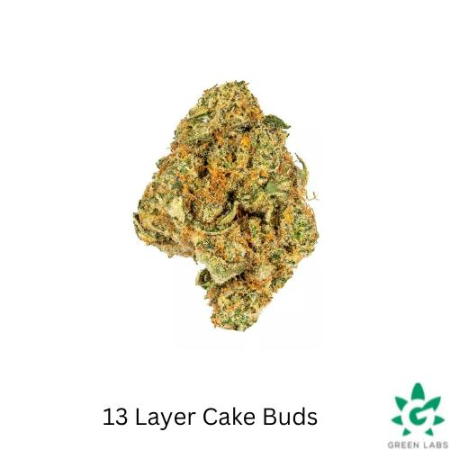 (MED) 13 Layer Cake #13 Buds - Dutch Touch Genetics
