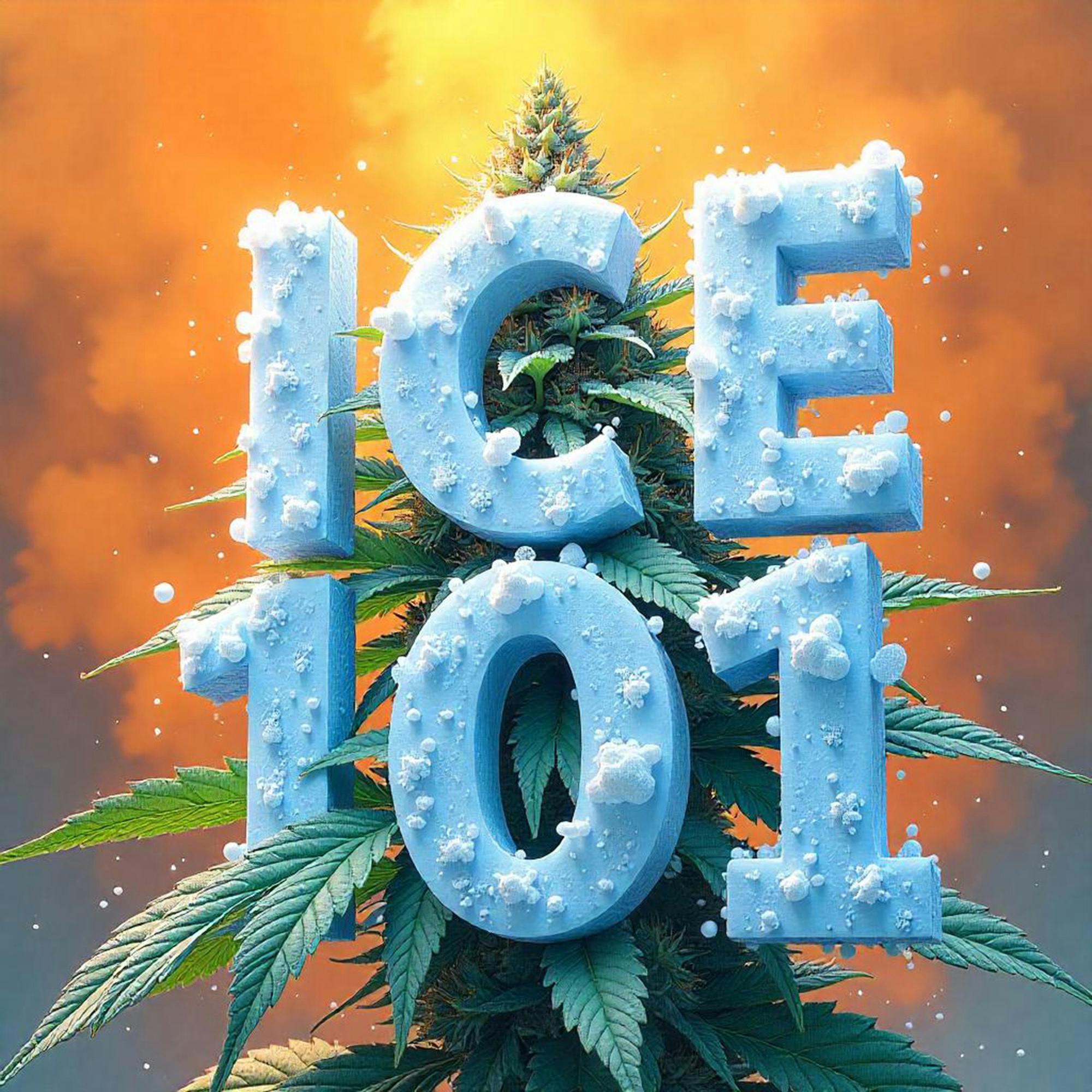 DELI - Ice 101 (Smalls) cannabis product