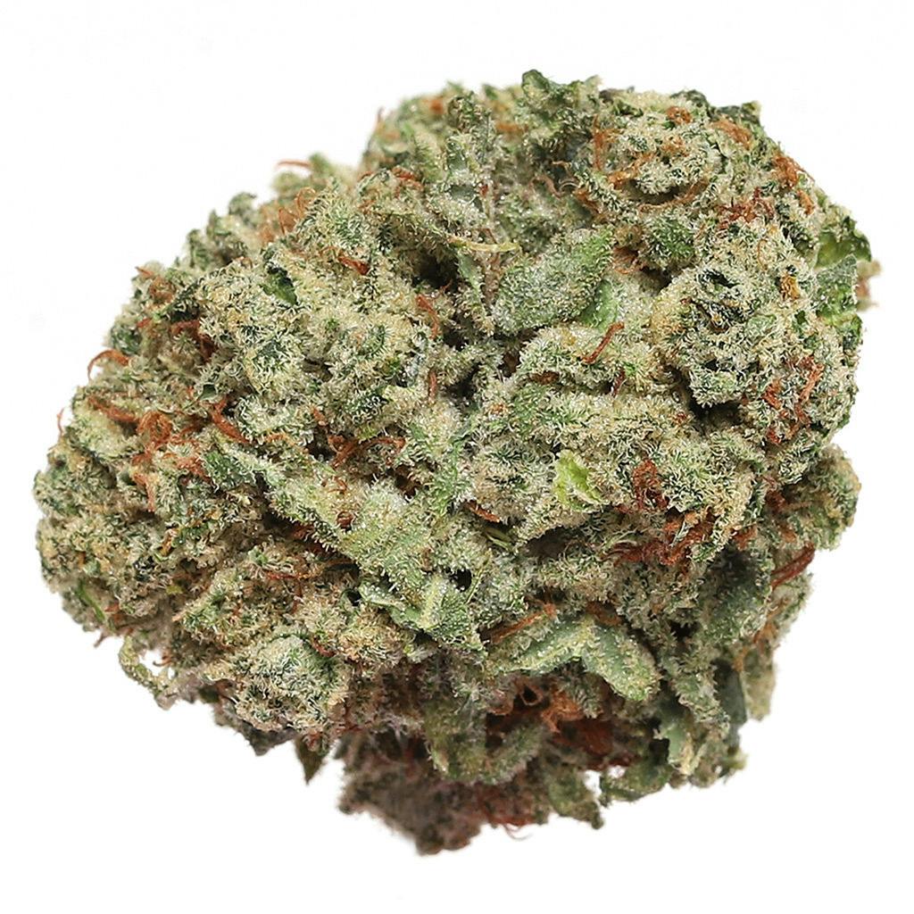 Jenn's OG - Chocolate Marshmallows - Hybrid - 3.5g