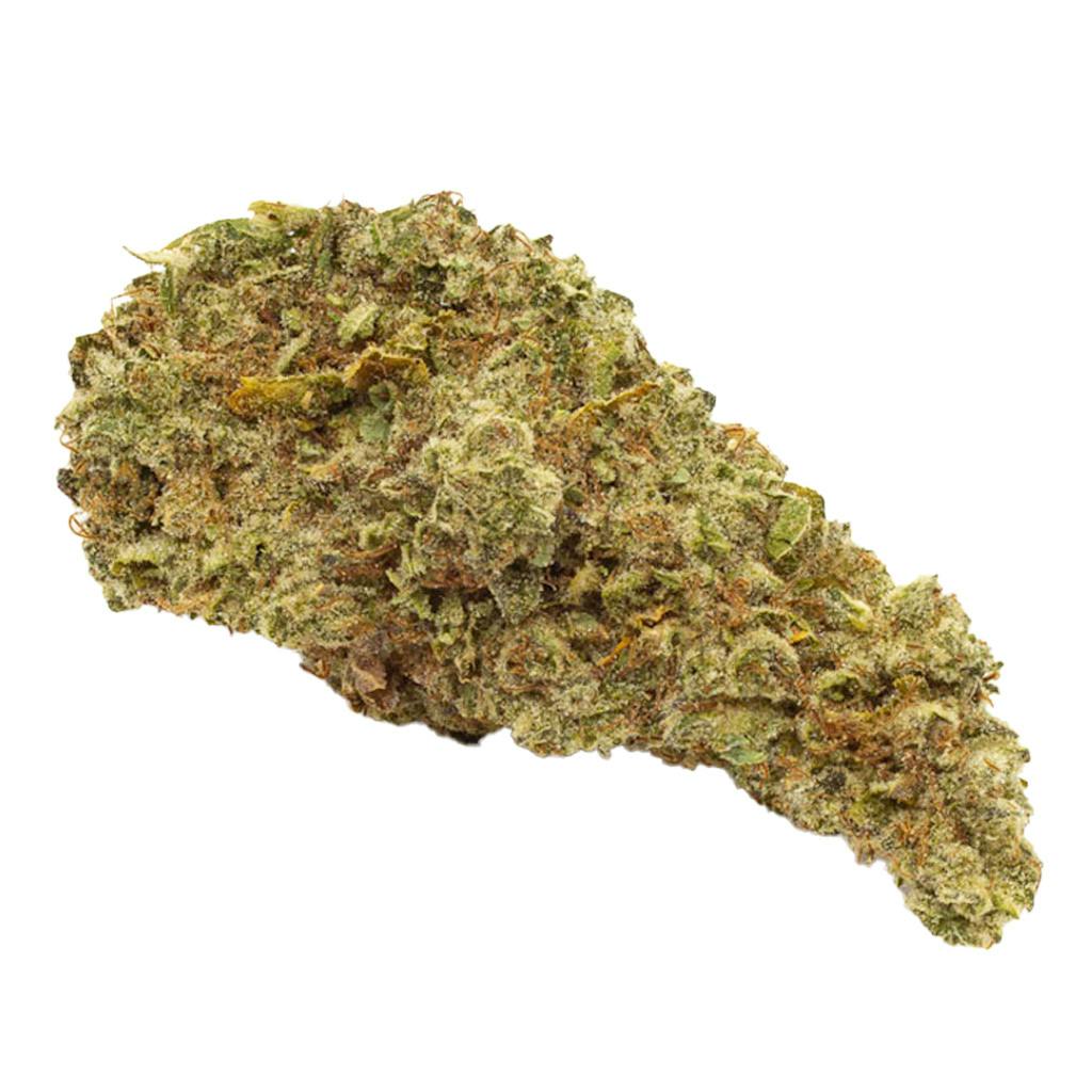 WINK - CRAFT ANIMAL FACE COOKIES 3.5g