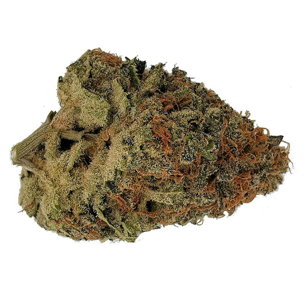 SITKA MICRO COLLECTION - Animal Sorbet 3.5g