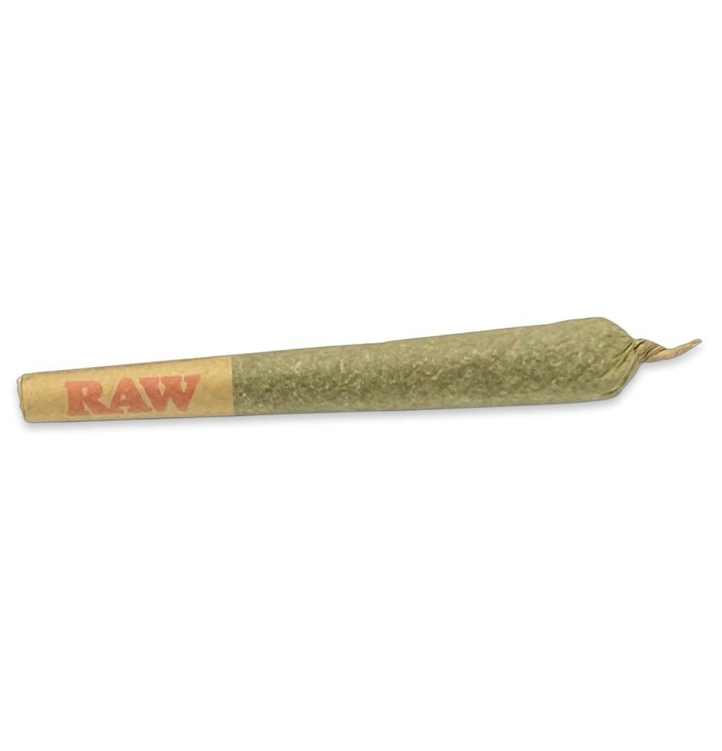 0.75g Pre-Roll Dutch Dragon (S) at Black Cat Cannabis