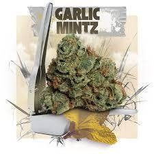 Garlic Mintz (14g)