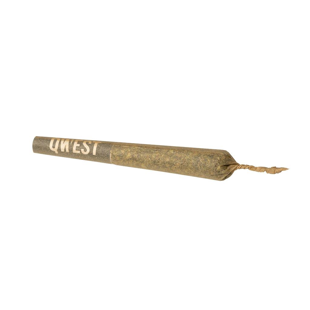 Qwest - Hash Infused Pre-Roll - 1g
