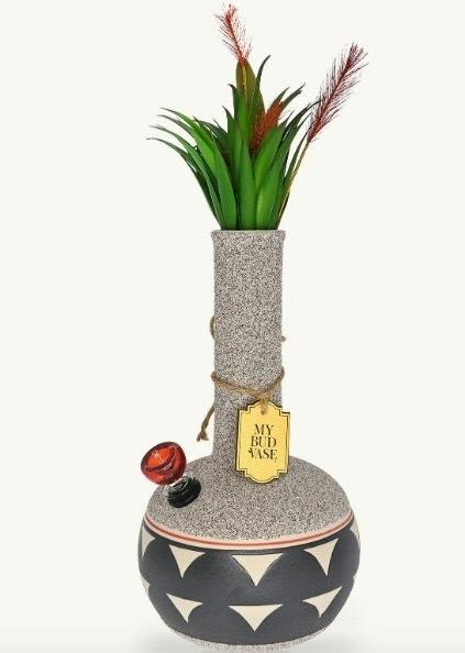 Coyote by My Bud Vase