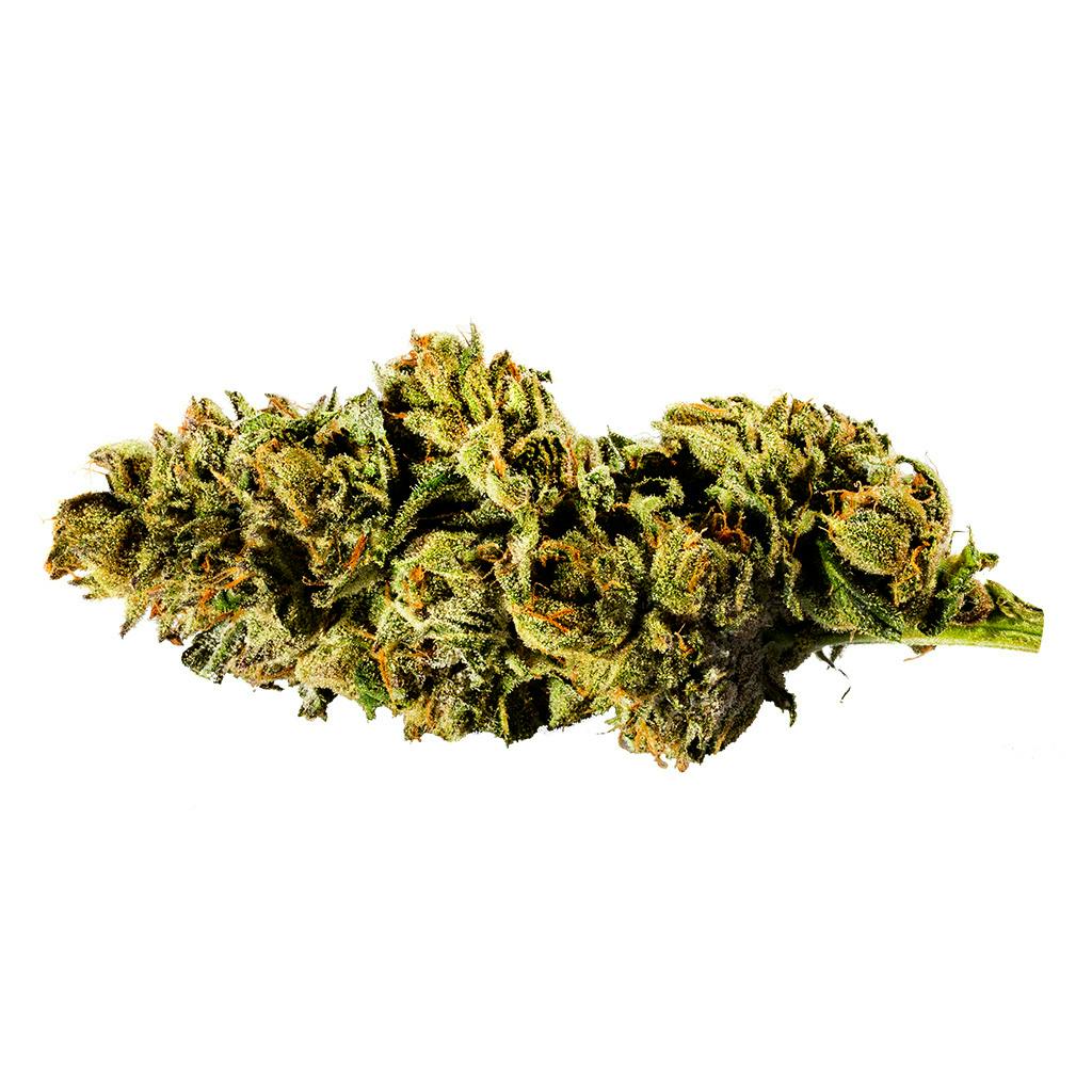 Redecan - Mint Chip Gelato - 1g