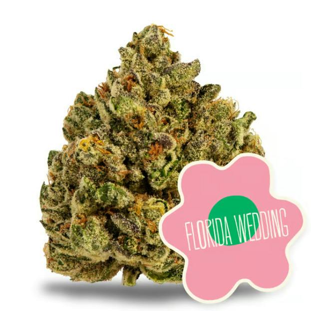 Florida Wedding - 3.5g