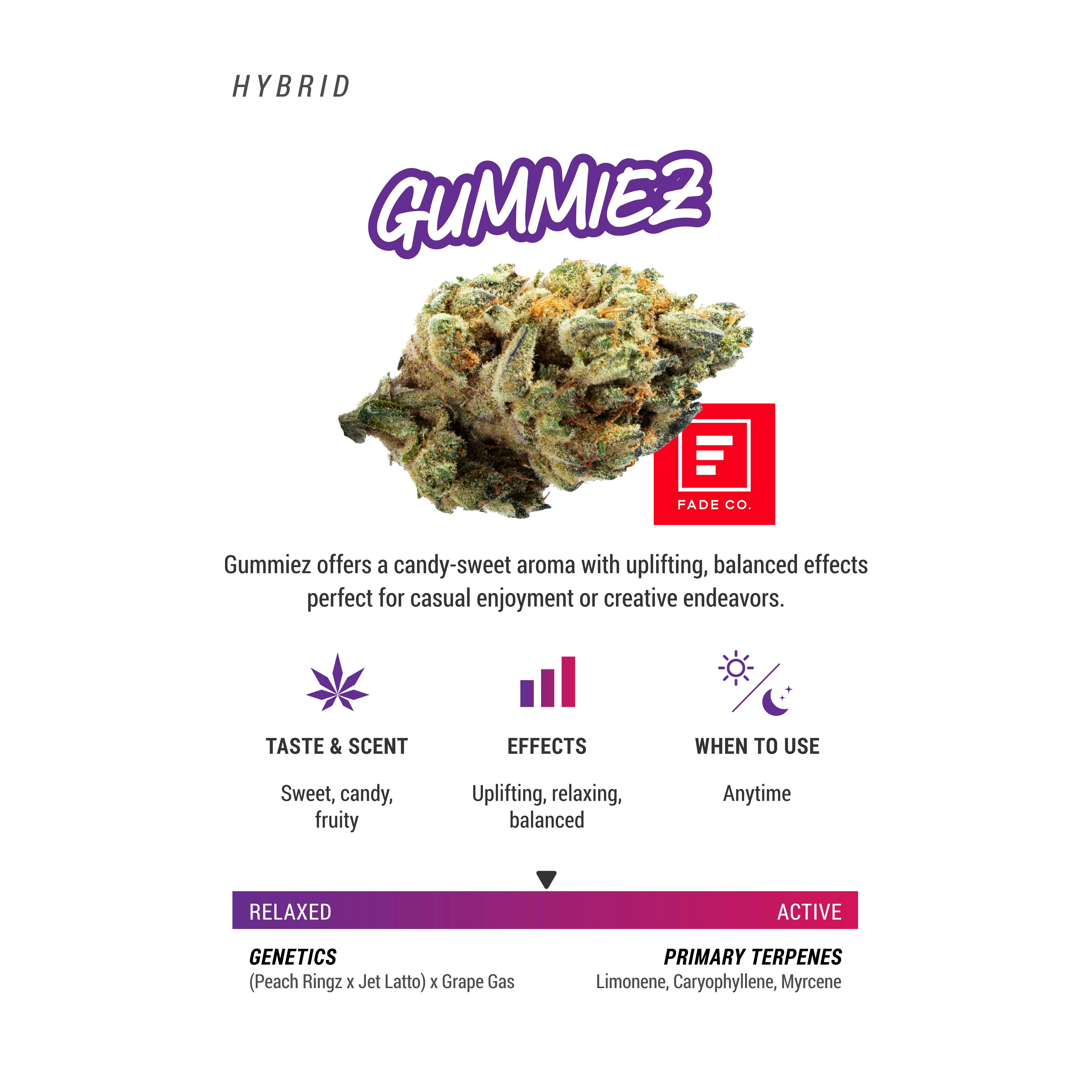 Gummiez - 3.5g at Elevated Dispo