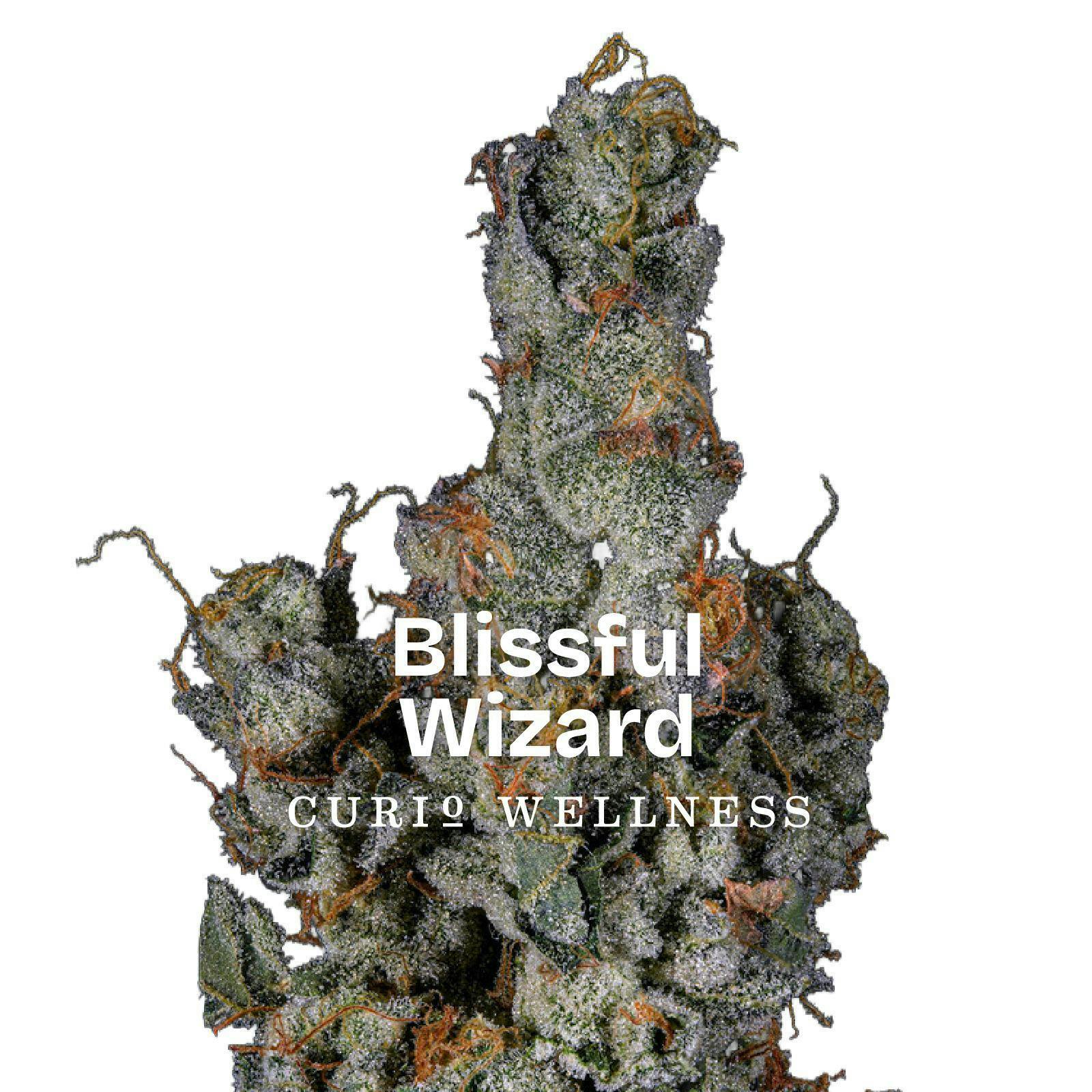 Blissful Wizard - Baby Buds - 5g