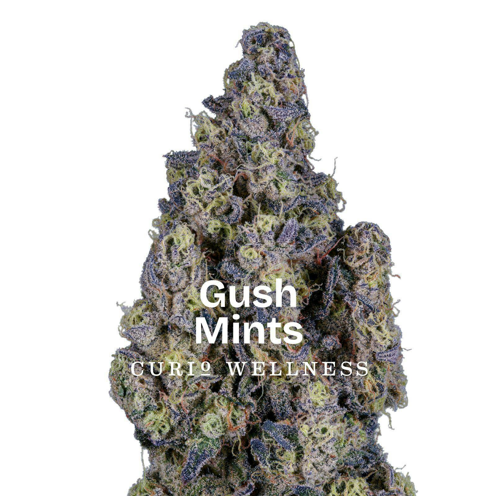 Gush Mints - 3.5g
