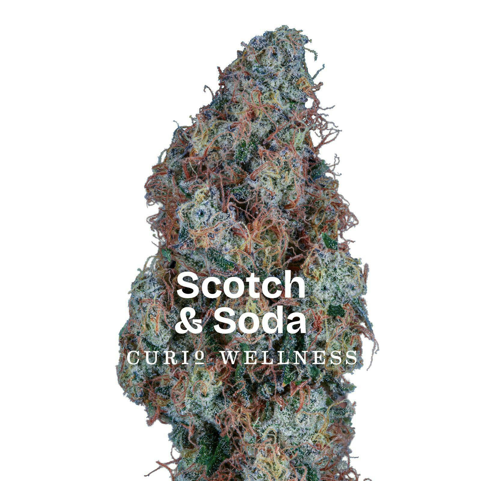 Scotch & Soda - 3.5g