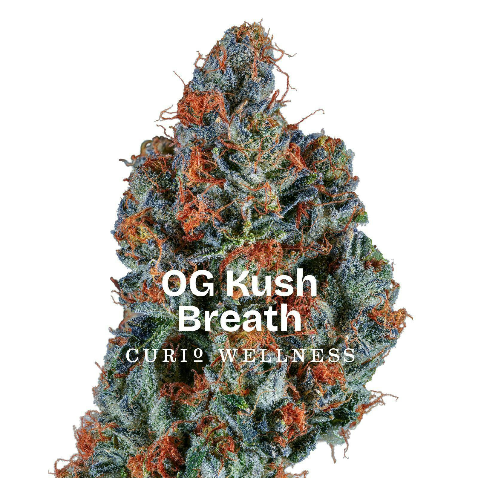 OG Kush Breath - Baby Buds - 5g