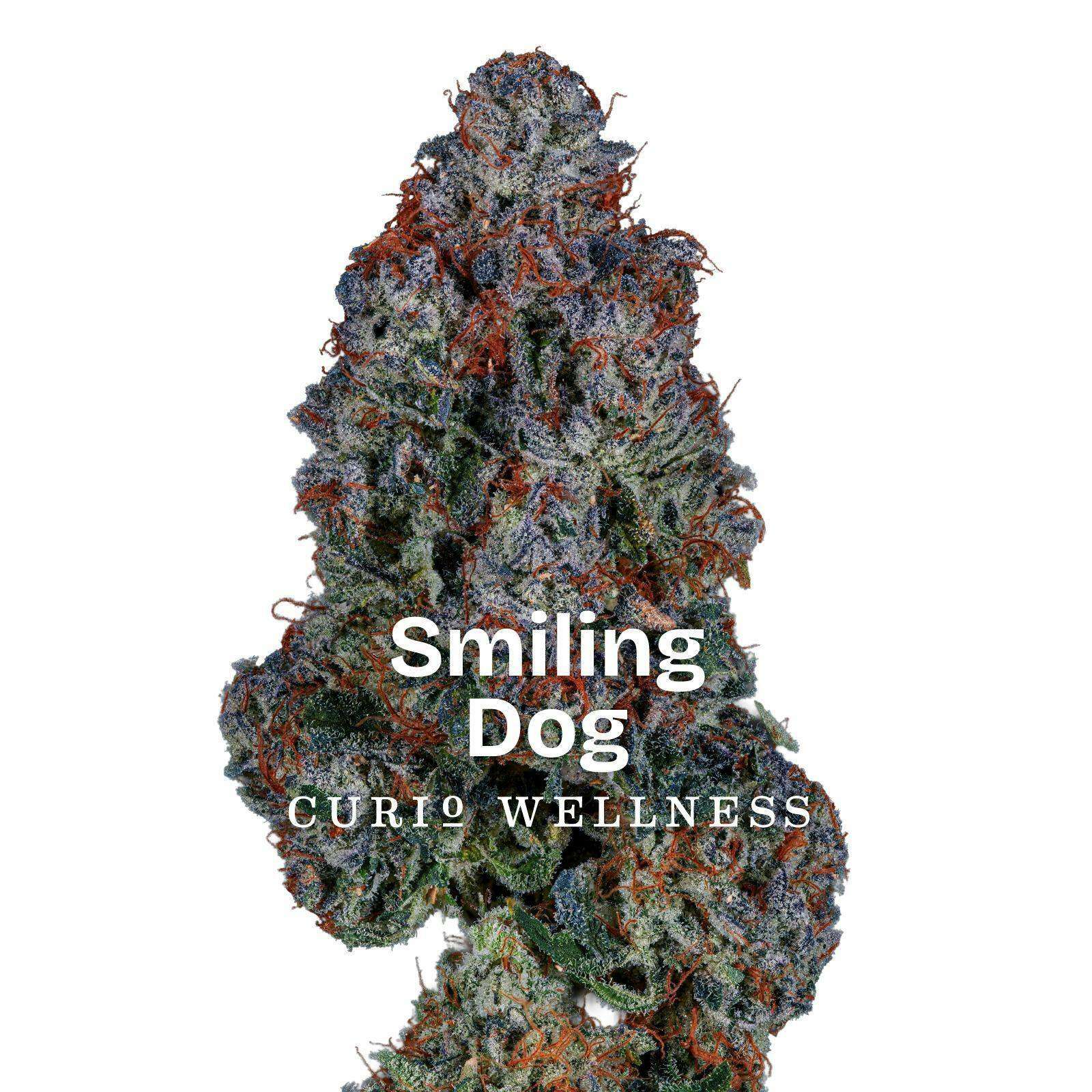 Smiling Dog - 28g