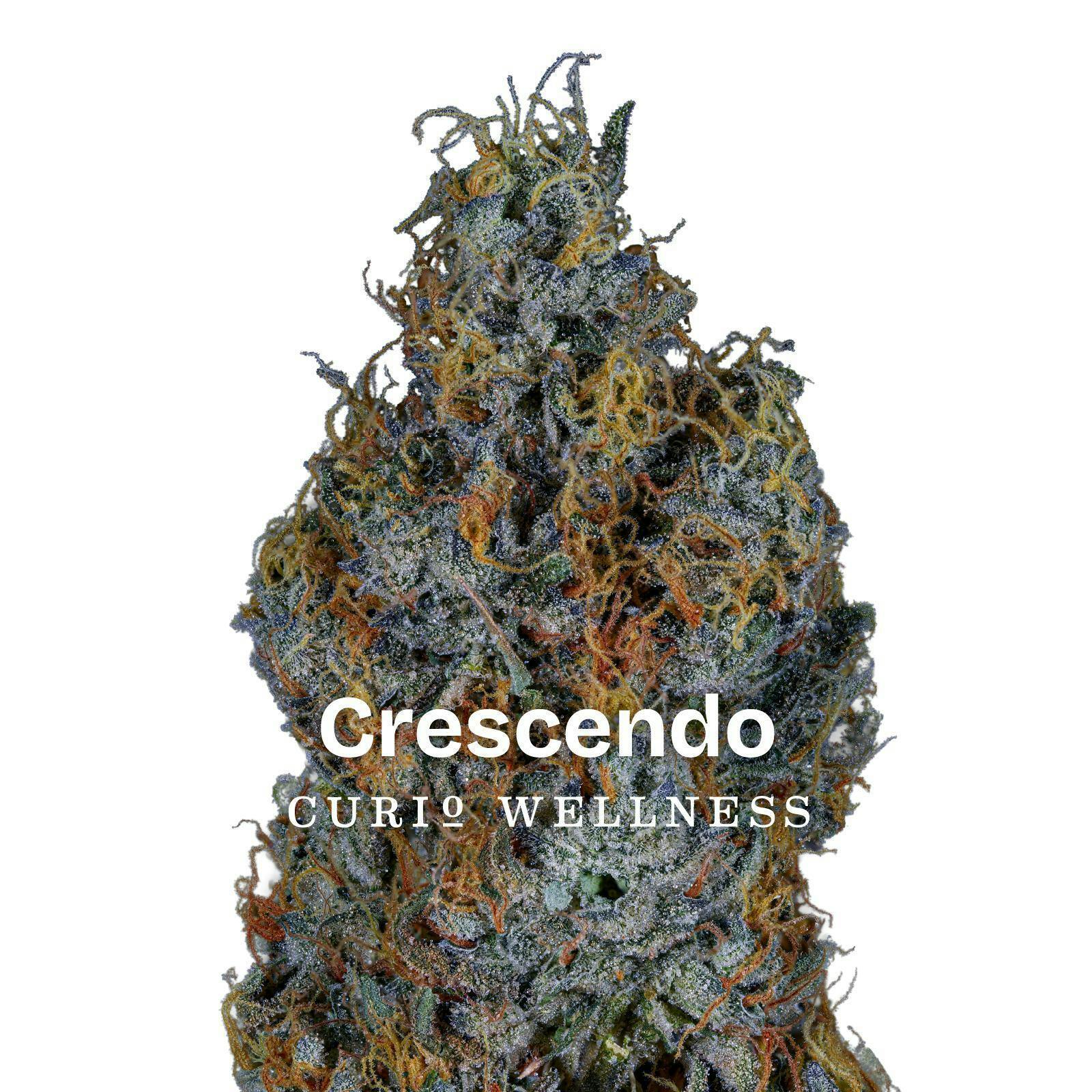 Crescendo - 3.5g
