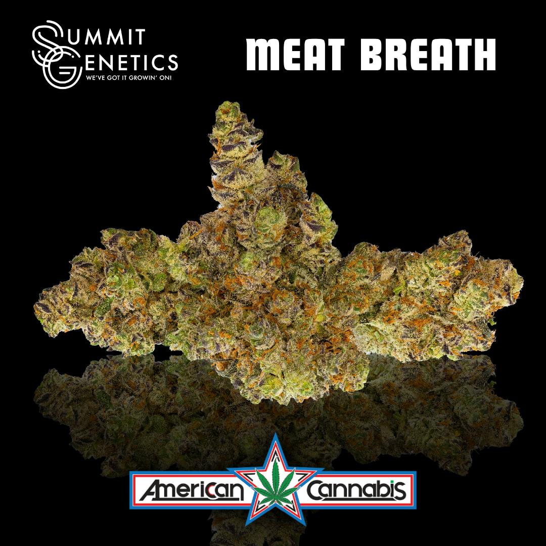 [Flower] Summit Genetics Meat Breath 14g [Indica]