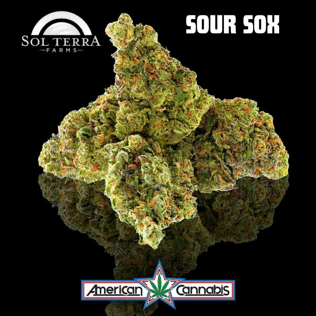 [Flower] Sol Terra Sour Sox 14g [Hybrid]